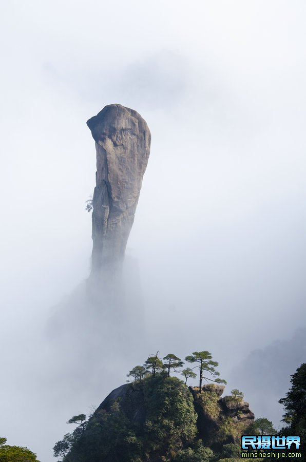 婺源向日葵花与三清山摄影团-感受山间雾漫向日葵摄影美景团