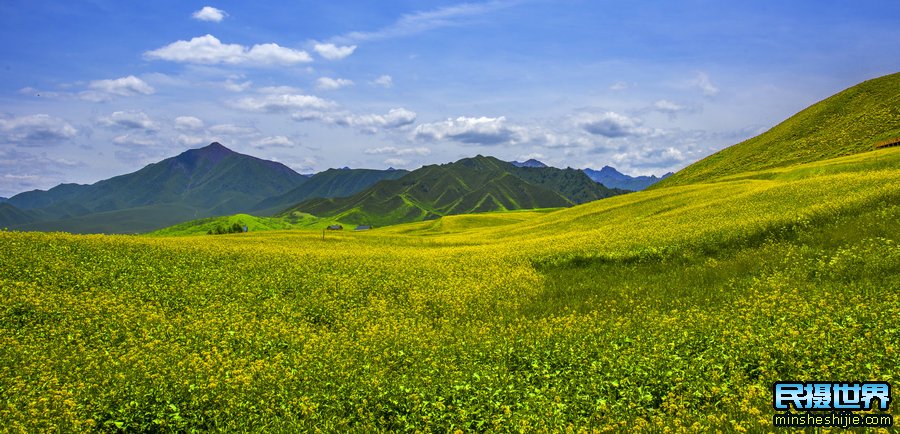 7月新疆昭苏摄影团