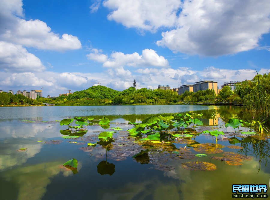 长沙旅游必去十大景点推荐一下