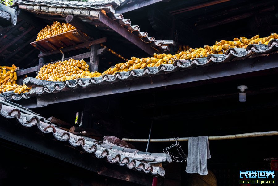 中国最美银杏与樱花摄影团--中缅边境-独龙江-丙中洛-香格里拉虎跳峡梅里雪山摄影团