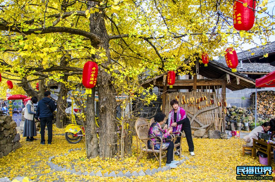 中国最美银杏与樱花摄影团--中缅边境-独龙江-丙中洛-香格里拉虎跳峡梅里雪山摄影团