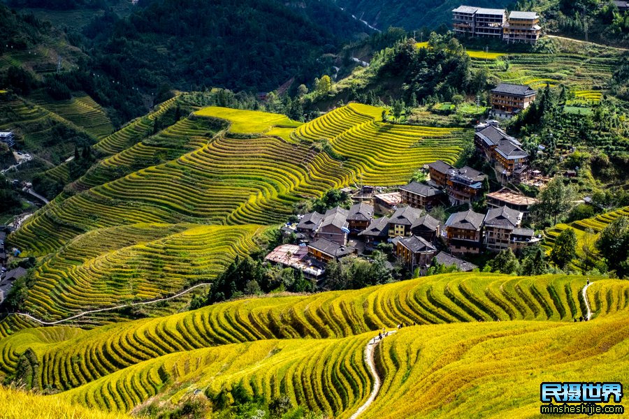 广西桂林山水龙脊梯田摄影团-最佳拍摄桂林山水龙脊梯田摄影美景团