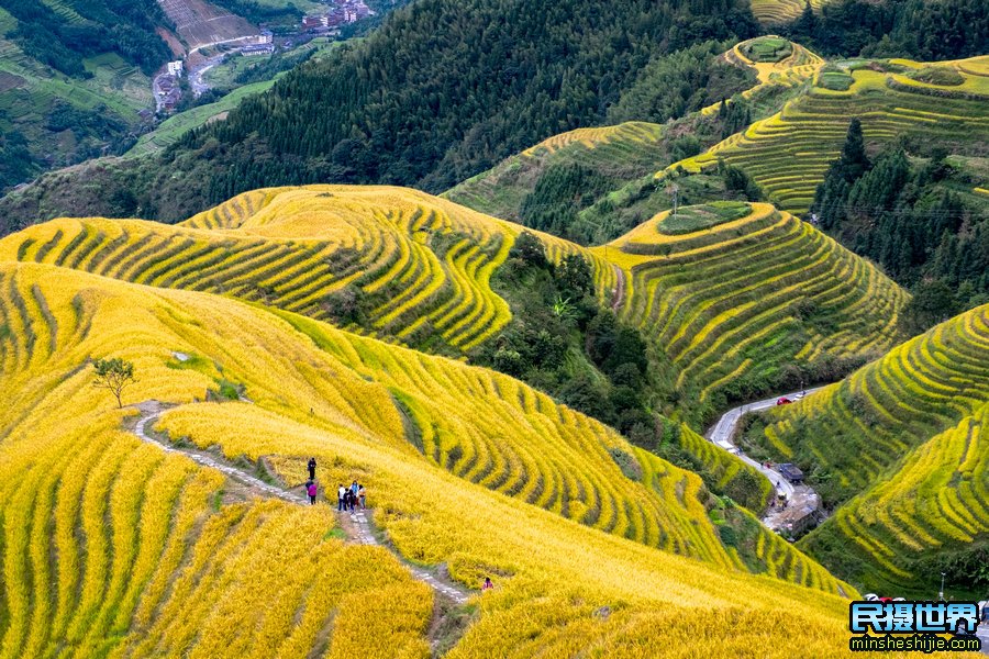 广西桂林山水龙脊梯田摄影团-最佳拍摄桂林山水龙脊梯田摄影美景团