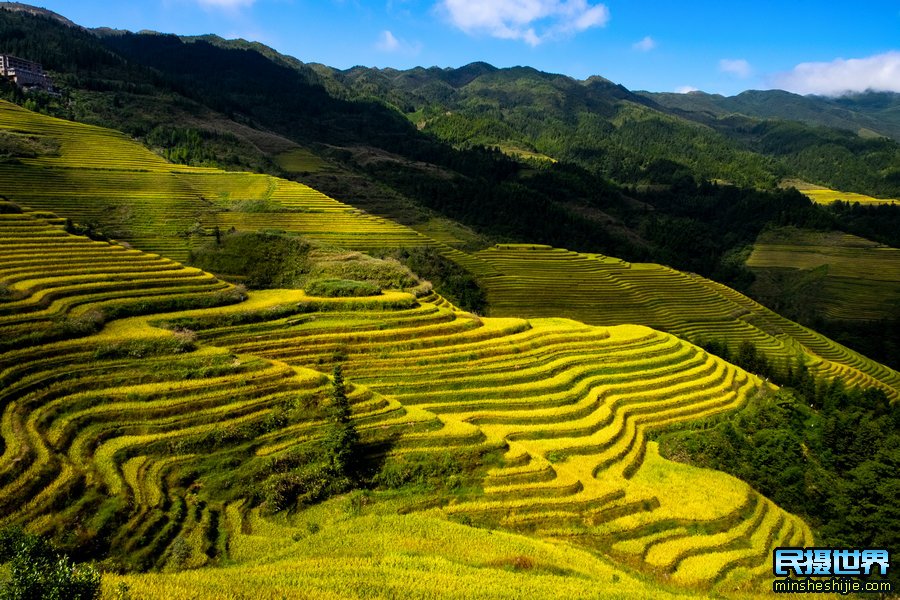 广西桂林山水龙脊梯田摄影团-最佳拍摄桂林山水龙脊梯田摄影美景团