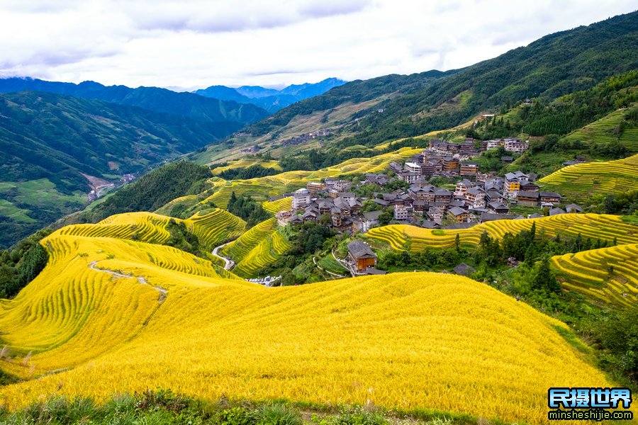广西桂林山水龙脊梯田摄影团-最佳拍摄桂林山水龙脊梯田摄影美景团