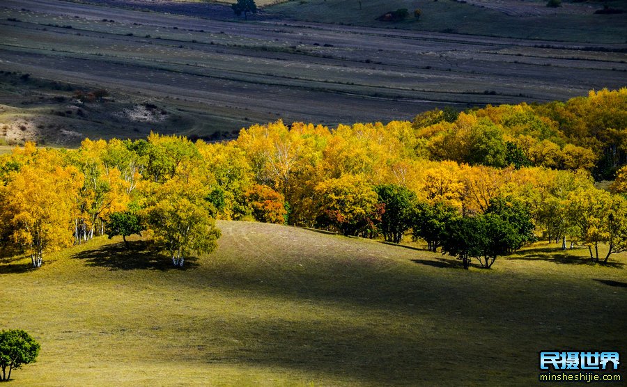秋季坝上摄影团-感受色彩丰富的金秋坝上草原奔马摄影团