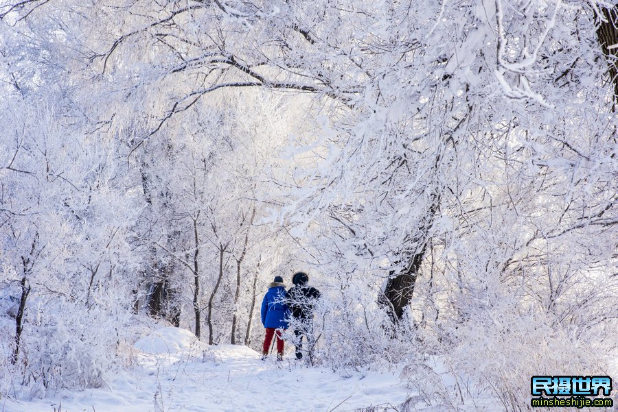 雪乡雾凇岛摄影团-含雪村-亚布力-魔界-镜泊湖-长白山摄影团B团