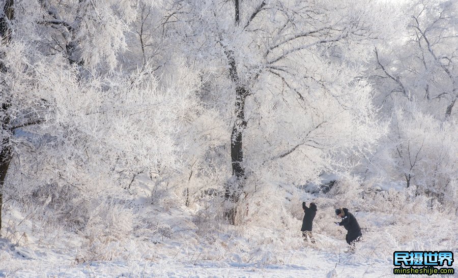 雪乡雾凇岛摄影团-含雪村-亚布力-魔界-镜泊湖-长白山摄影团B团