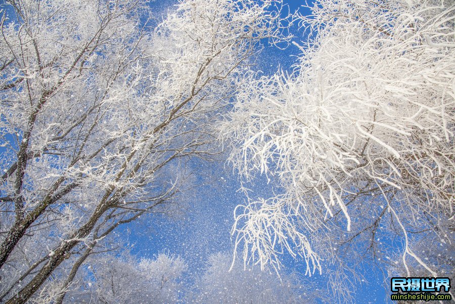 雪乡雾凇岛摄影团-含雪村-亚布力-魔界-镜泊湖-长白山摄影团B团