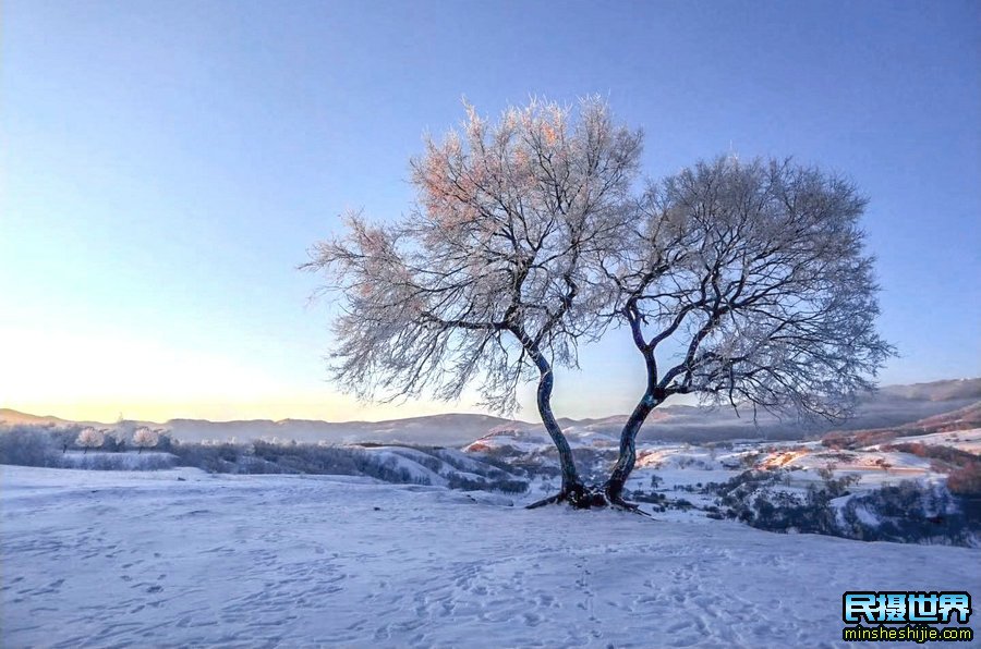 冬季坝上深度摄影团团-一次坝上冰雪风光人文摄影团-感受坝上雪中跑马场景