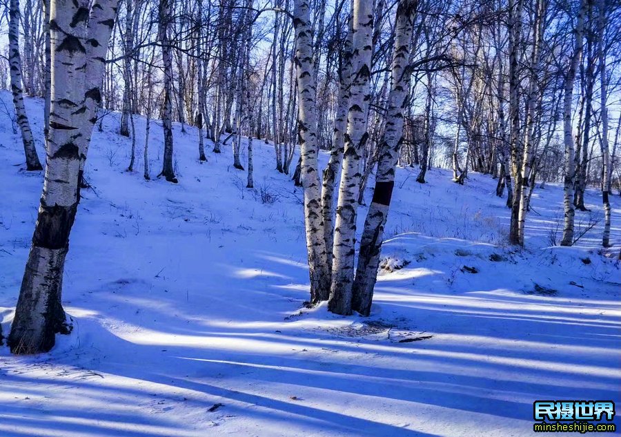 冬季坝上深度摄影团团-一次坝上冰雪风光人文摄影团-感受坝上雪中跑马场景