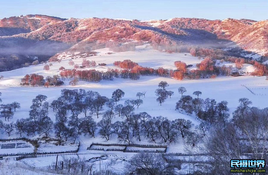 冬季坝上深度摄影团团-一次坝上冰雪风光人文摄影团-感受坝上雪中跑马场景