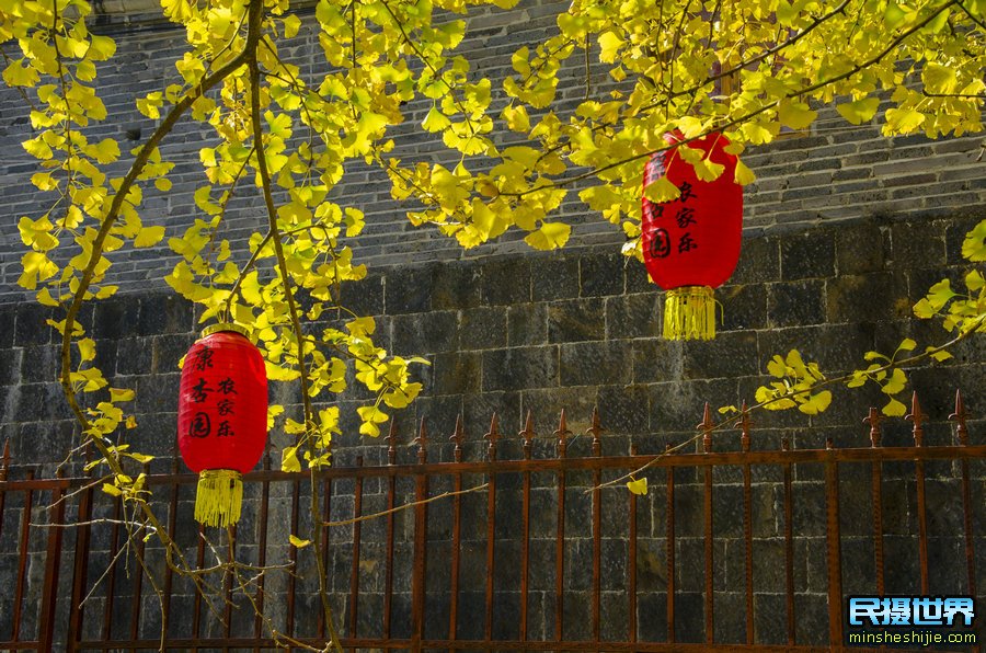 最美云南摄影团:无量山樱花摄影团-银杏村-和顺古镇-诺邓古村人文建筑-八卦太极峡谷拍摄
