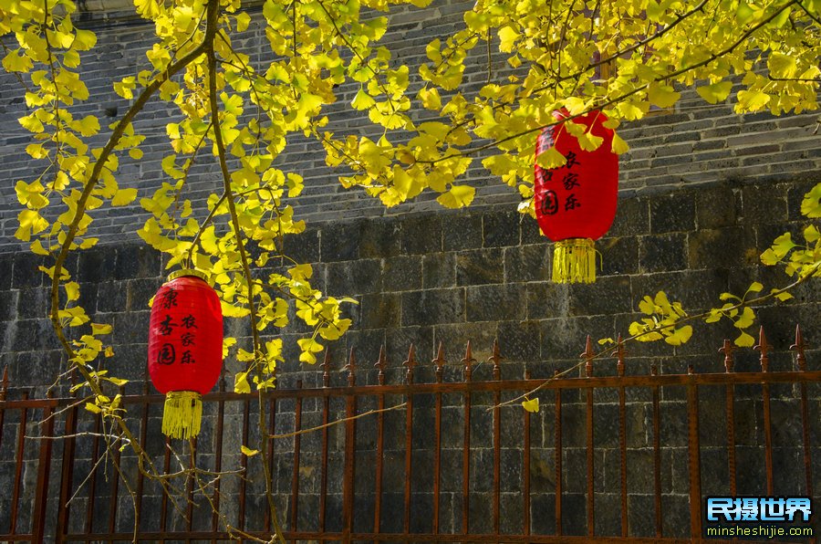 最美云南摄影团：无量山樱花摄影团-银杏村-和顺古镇-诺邓古村人文建筑-八卦太极峡谷拍摄