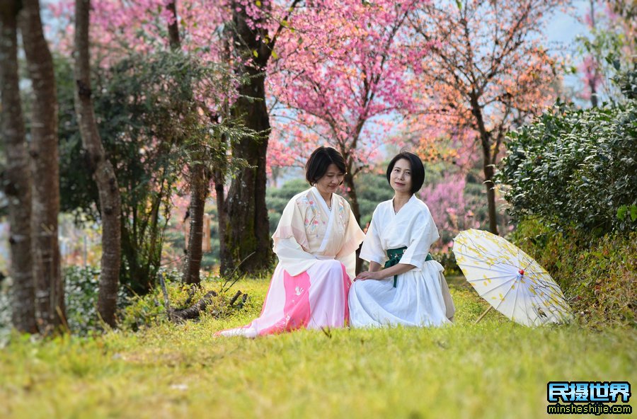 最美云南摄影团:无量山樱花摄影团-银杏村-和顺古镇-诺邓古村人文建筑-八卦太极峡谷拍摄