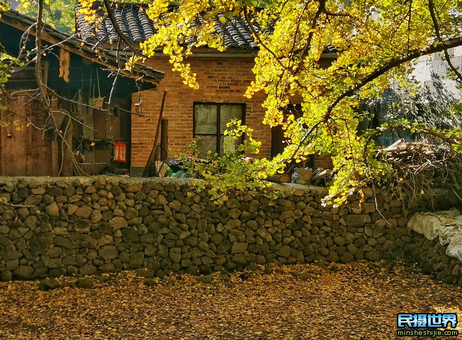 最美云南摄影团:无量山樱花摄影团-银杏村-和顺古镇-诺邓古村人文建筑-八卦太极峡谷拍摄