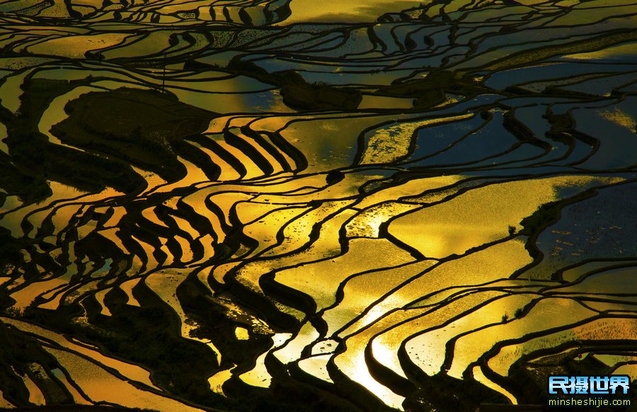 2021年云南祭火节摄影团之元谋土林红土地-元阳梯田油菜花摄影团