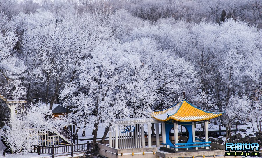 2021年相约东北雪乡雾凇岛摄影团,感受雪乡雾凇岛冰雪摄影快乐