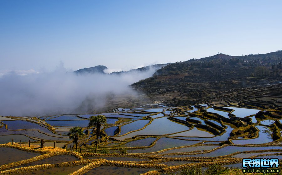 云南摄影团-含普者黑-东川红土地-罗平油菜花-元阳梯田摄影团
