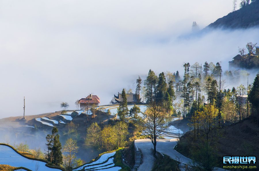 云南摄影团-含普者黑-东川红土地-罗平油菜花-元阳梯田摄影团