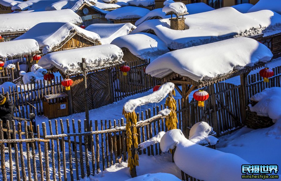 冬季拍摄迷人雪景的技巧与注意事项
