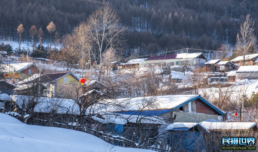 冬季拍摄迷人雪景的技巧与注意事项