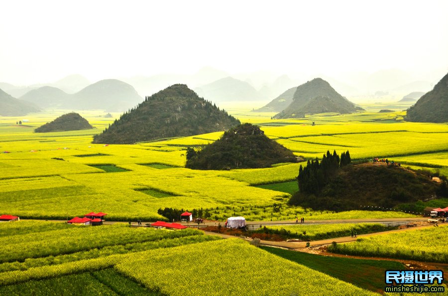 云南摄影团-含普者黑-东川红土地-罗平油菜花-元阳梯田摄影团
