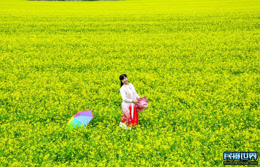 油菜花拍摄技巧与油菜花摄影注意事项