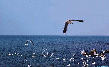 青海摄影旅游最佳时间?青海湖什么时候去摄影旅游最好？