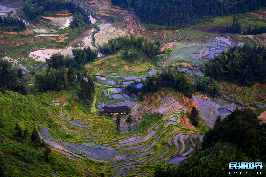 湖南张家界摄影团-高椅岭水上丹霞-凤凰古城-紫鹊界梯田小东江摄影团