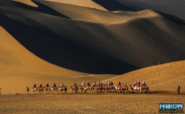 甘肃敦煌鸣沙山月牙泉景区,堵骆驼壮观场景,你拍到了吗？