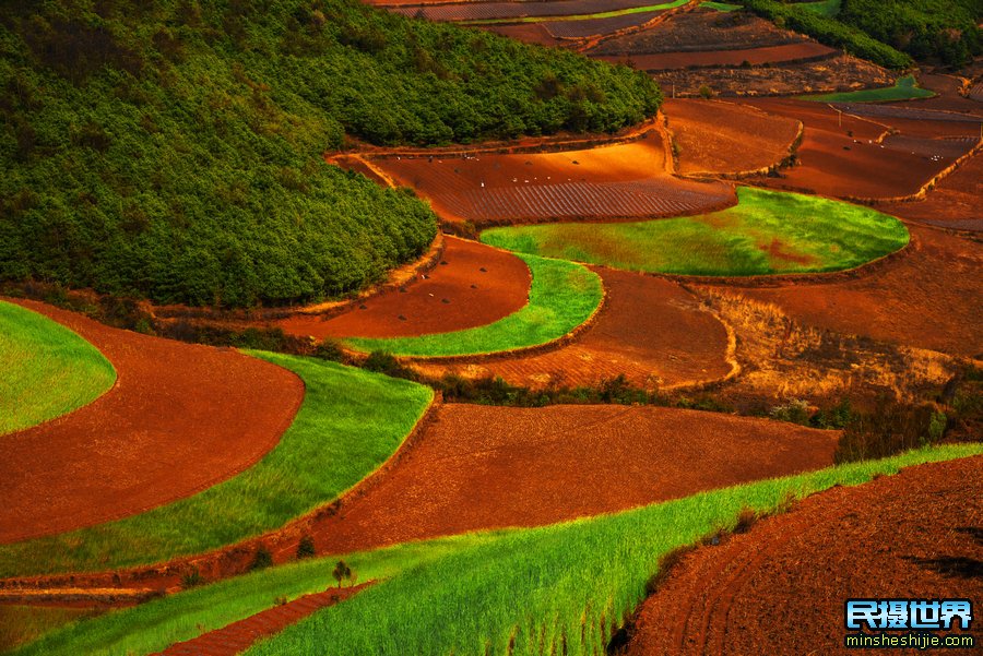 东川红土地