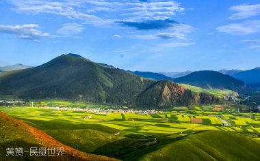青海湖油菜花什么时候开 最佳时间几月份