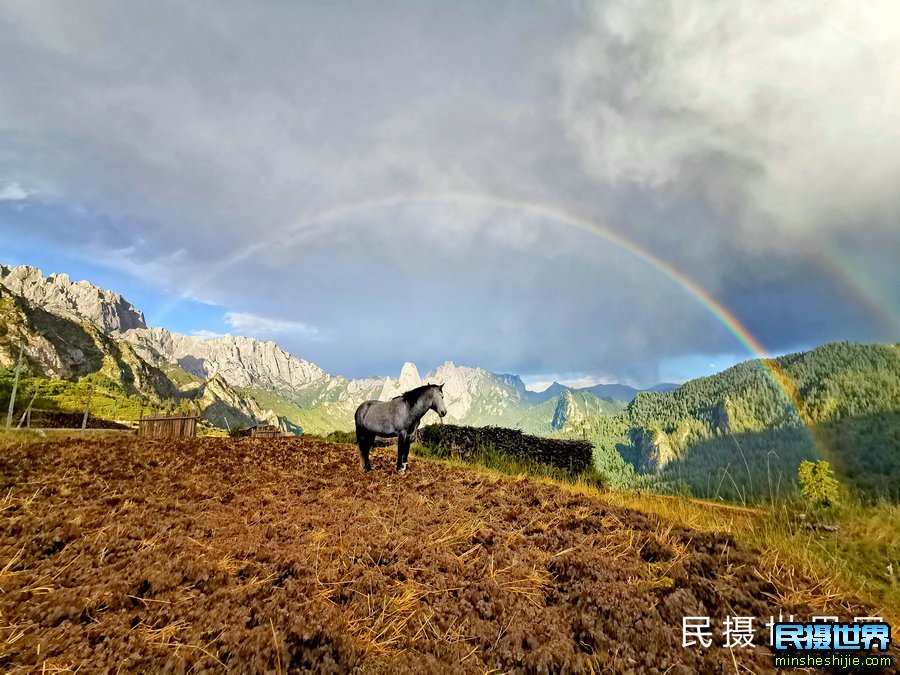 雨天摄影技巧攻略