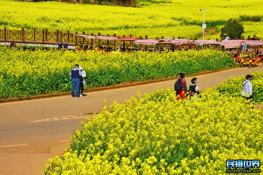 云南活动花絮