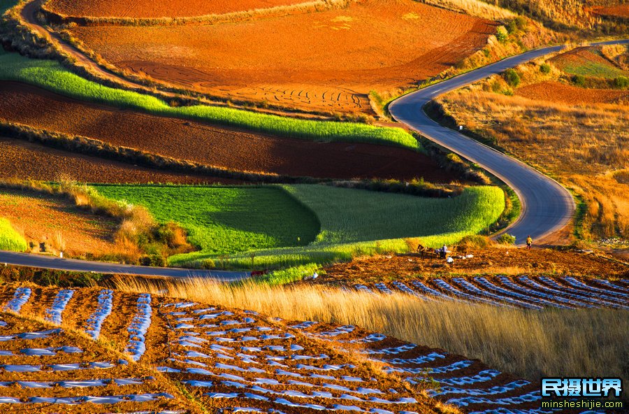 东川红土地摄影