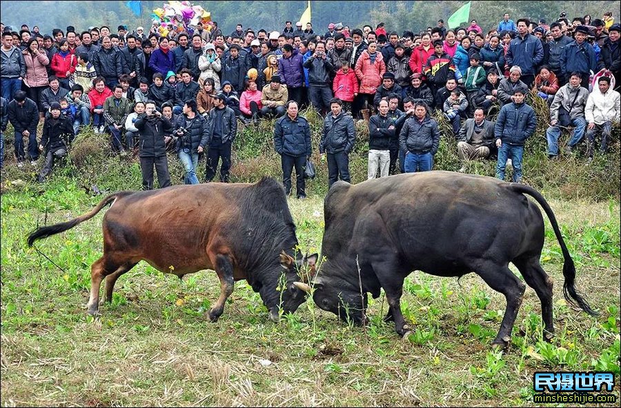 桂林山水漓江风光摄影团