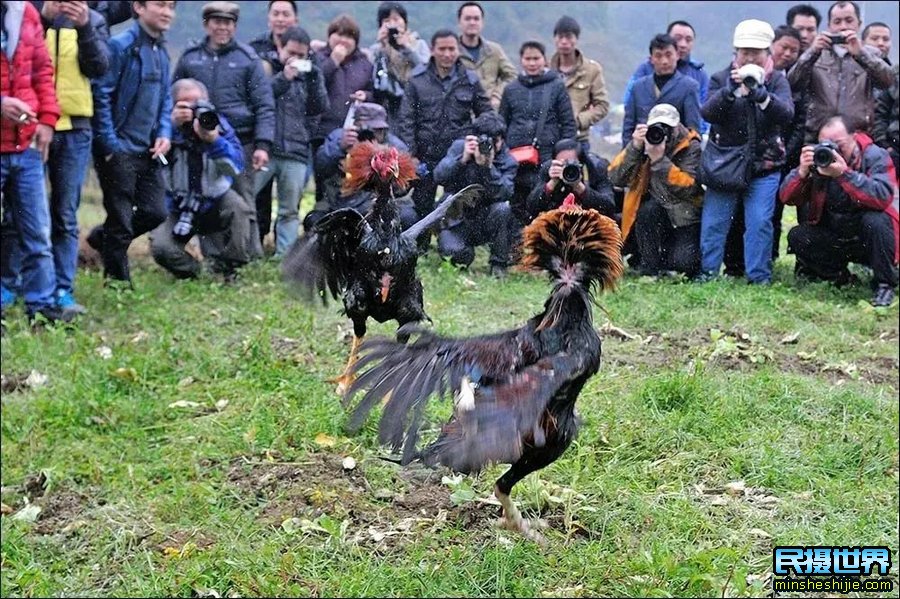 桂林山水漓江风光摄影团