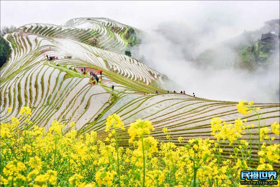 3月桂林海洋桃花-漓江风光-龙脊梯田摄影团