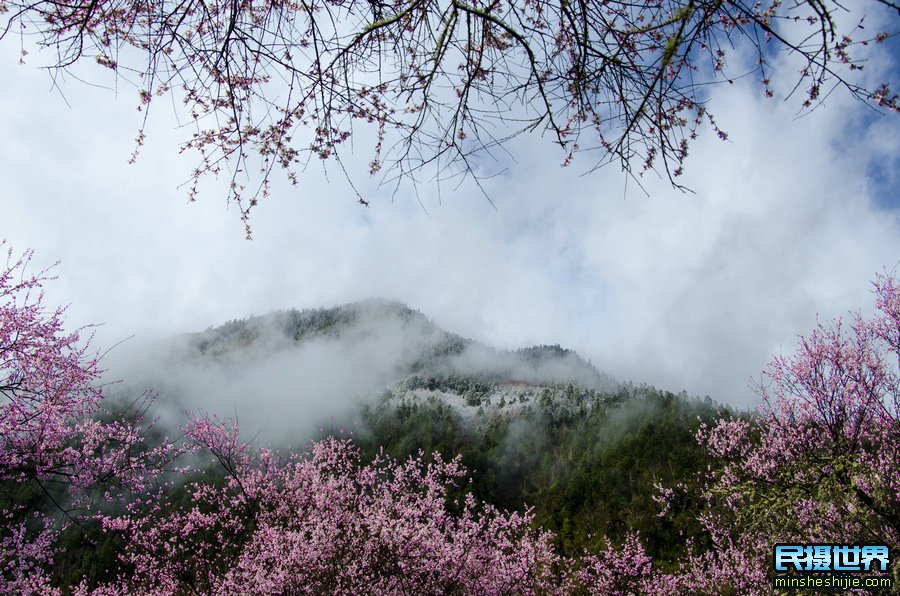 西藏林芝挑花摄影团-然乌湖来古冰川-波密桃花摄影团