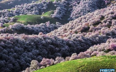 新疆杏花沟旅游攻略|游玩时间|线路推荐|交通工具|食宿