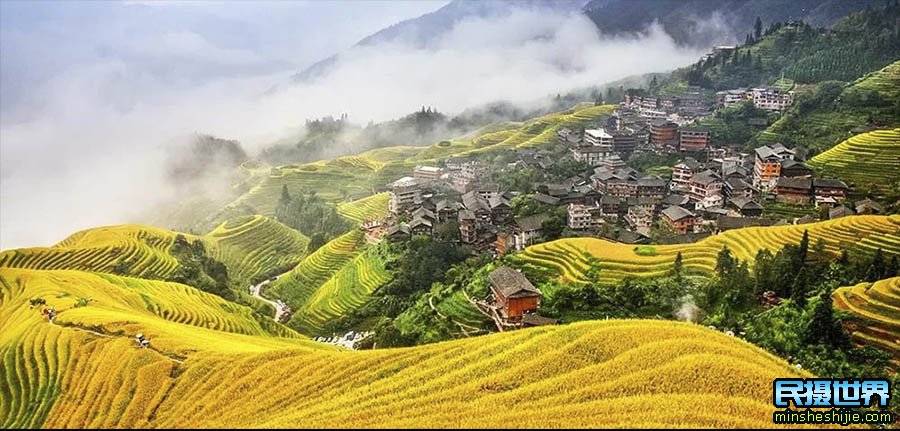 10月金秋龙脊梯田摄影团之漓江-桂林山水摄影团