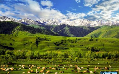新疆摄影采风团的魅力和特点，在摄影采风中应该注意的事项