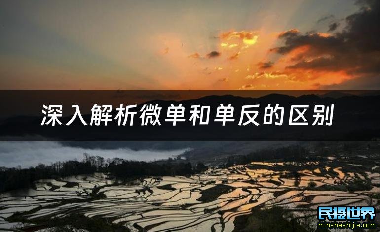 微单和单反的区别