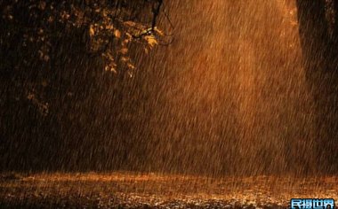 去额济纳拍秋景，如果遇上雨天怎么办？雨天拍照技巧大揭秘