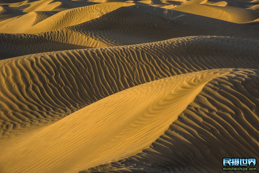 沙漠拍照技巧：塔克拉玛干沙漠拍摄