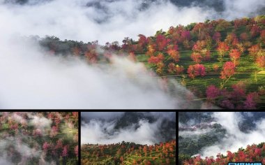云南游玩注意事项，摄影师亲身体验分享