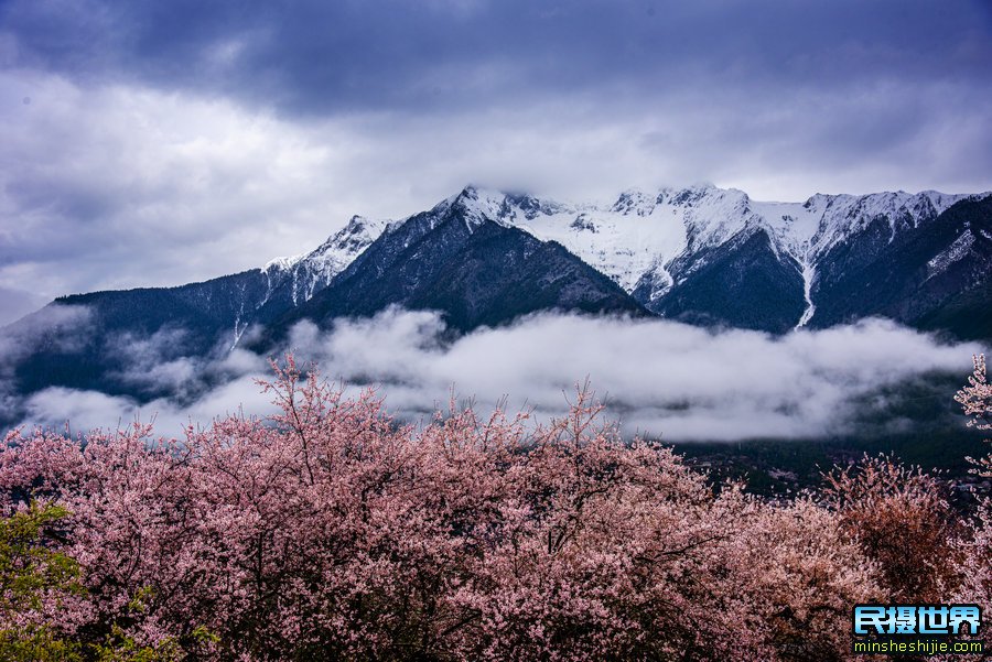 西藏林芝摄影团-含羊湖-林芝桃花-索松村-南迦巴瓦峰-波密桃花6日摄影团