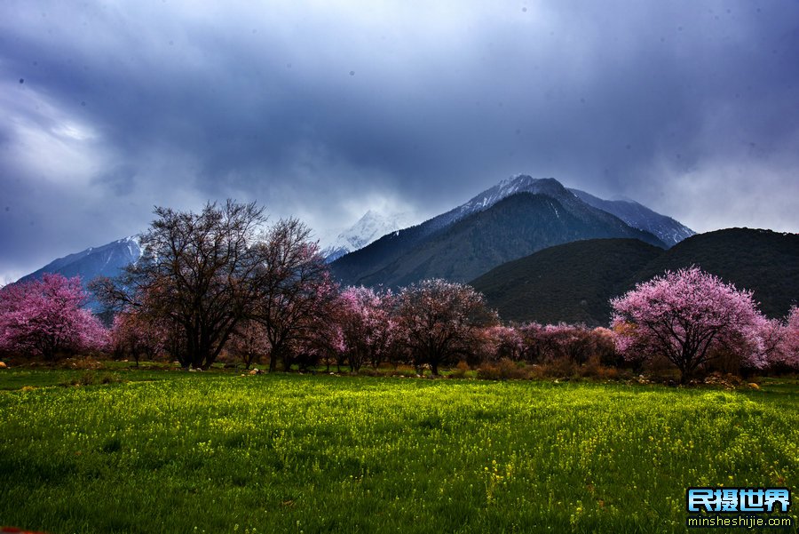 西藏林芝摄影团-含羊湖-林芝桃花-索松村-南迦巴瓦峰-波密桃花6日摄影团