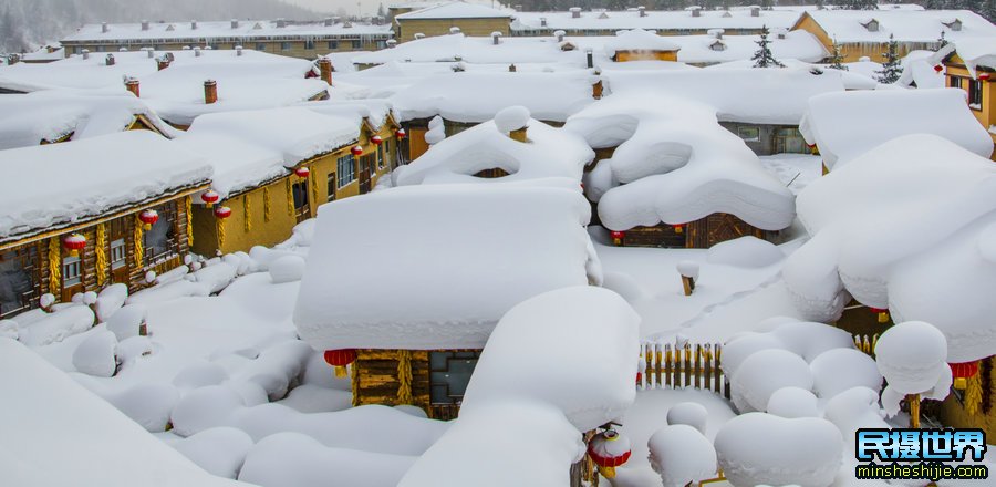 冰雪雾凇岛-查干湖冬捕-扎龙丹顶鹤-长白山天池-魔界-雪乡摄影团